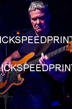 HIDDEN IN PLAIN SIGHT