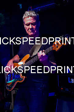 HIDDEN IN PLAIN SIGHT